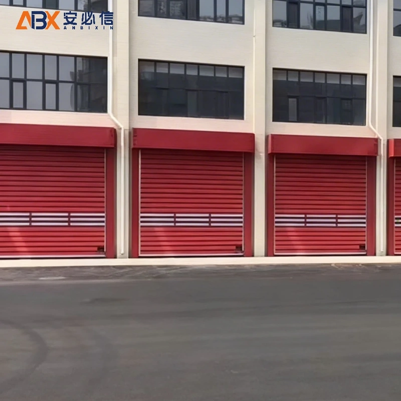 阿里地区金属高速门